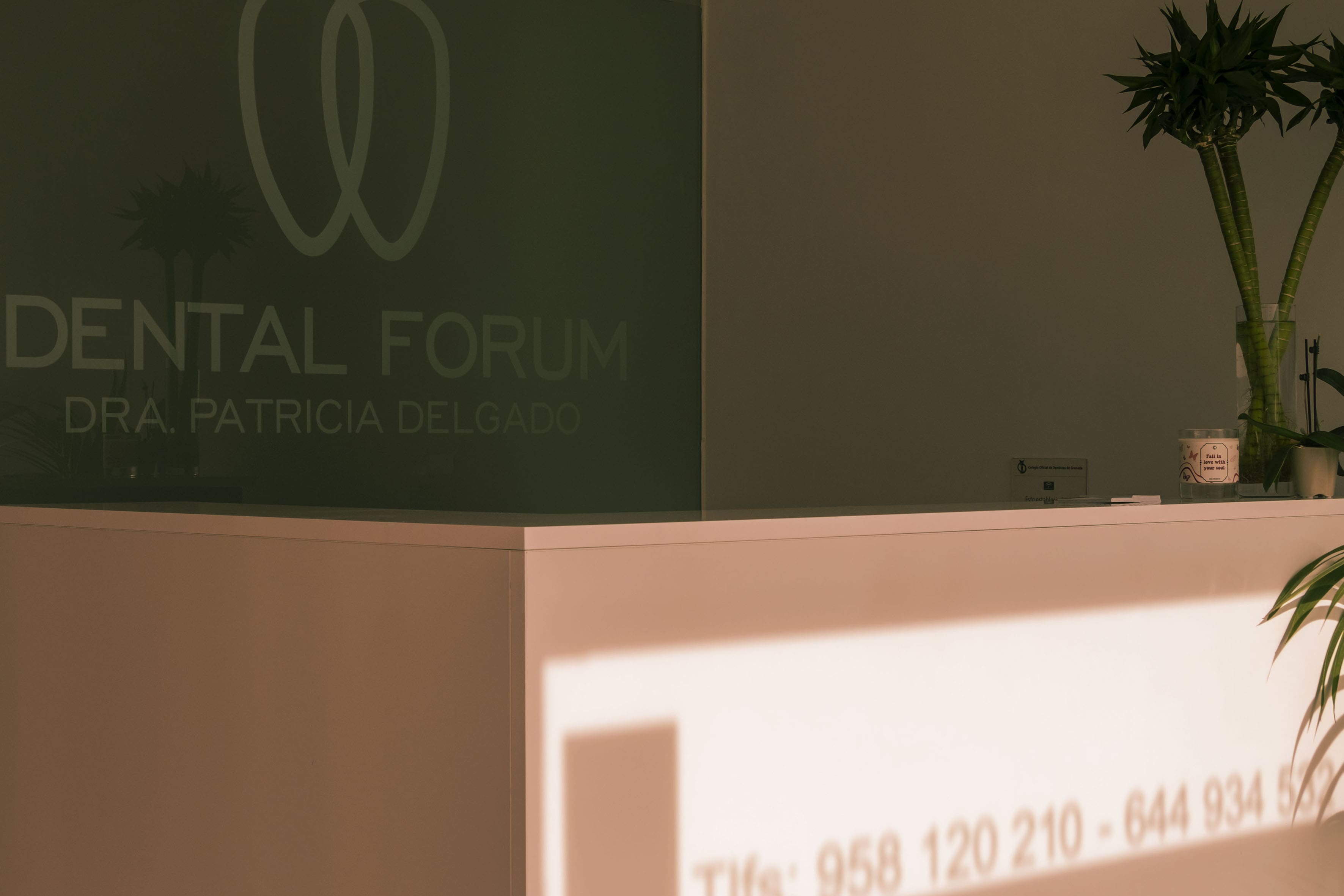 Dental Forum Granada